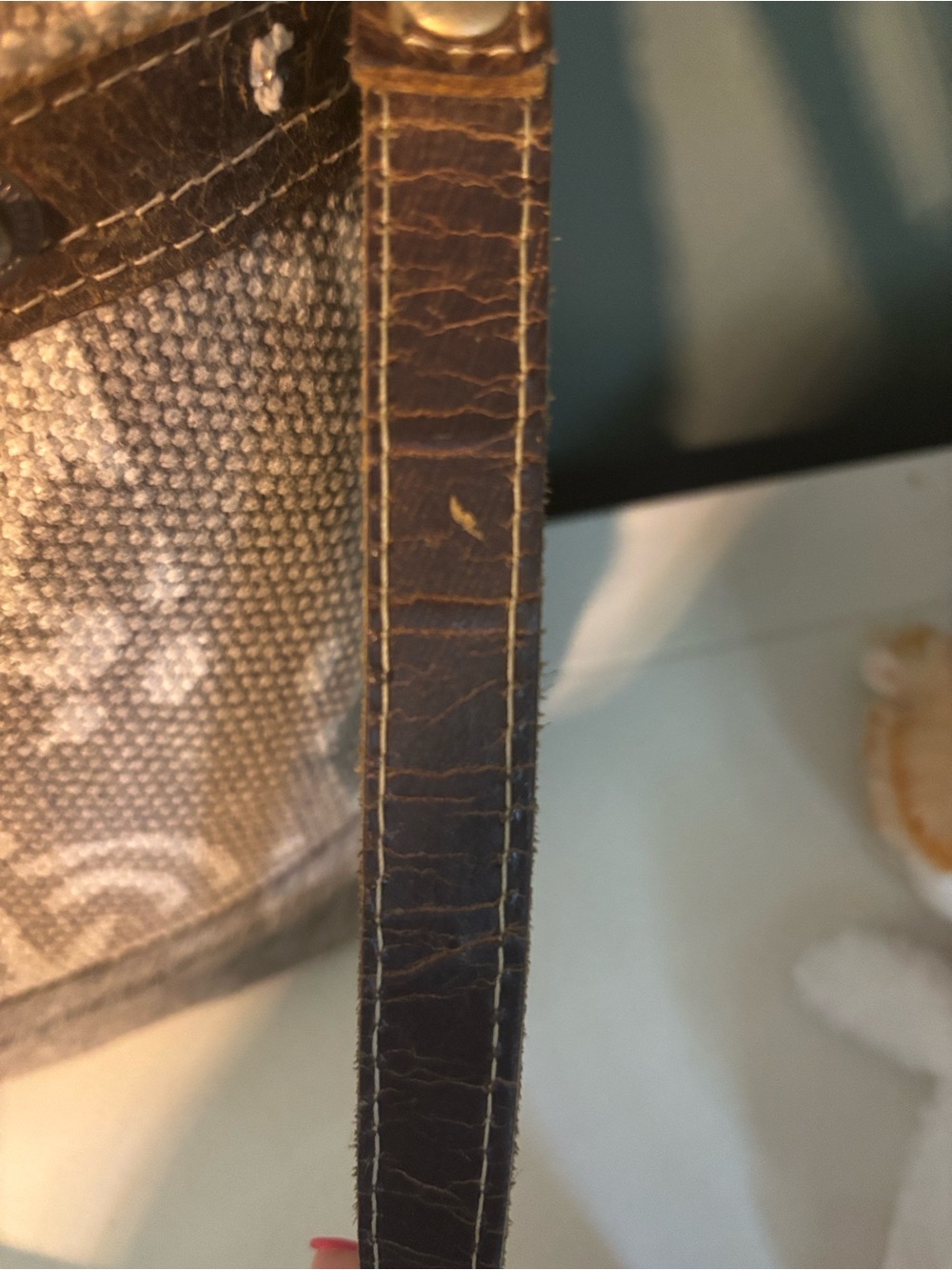 Myra Bag Archaic Canvas & Leather Crossbody - Picture 11 of 13